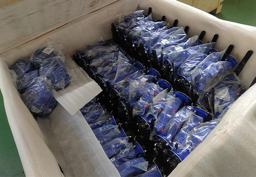 般德蝶閥、蝶式止回閥等產(chǎn)品出口澳大利亞